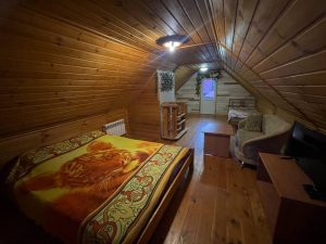 photo_5413357023485088773_y